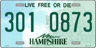 NH license plate 3010873