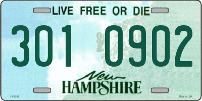NH license plate 3010902