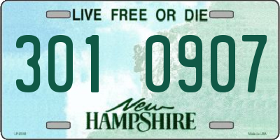 NH license plate 3010907