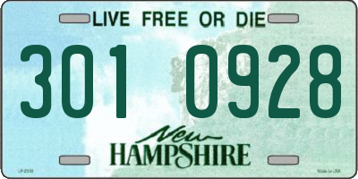 NH license plate 3010928