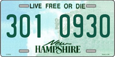 NH license plate 3010930