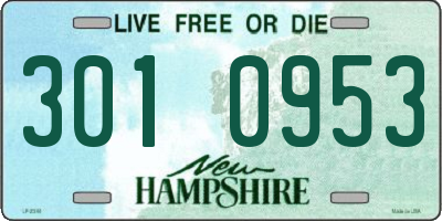 NH license plate 3010953