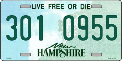 NH license plate 3010955