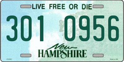 NH license plate 3010956