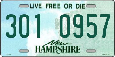 NH license plate 3010957