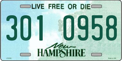 NH license plate 3010958