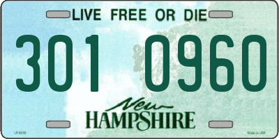 NH license plate 3010960