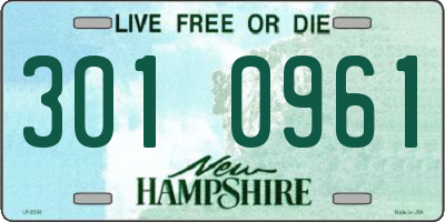 NH license plate 3010961