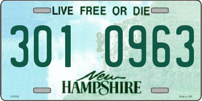 NH license plate 3010963