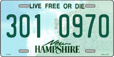 NH license plate 3010970