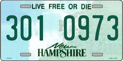 NH license plate 3010973