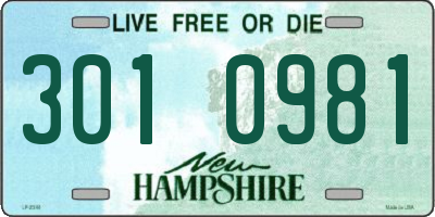 NH license plate 3010981