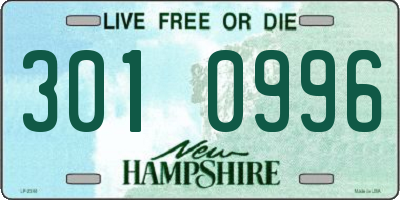 NH license plate 3010996