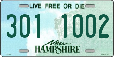 NH license plate 3011002