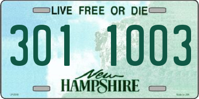 NH license plate 3011003