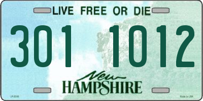 NH license plate 3011012