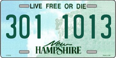NH license plate 3011013