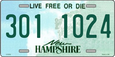 NH license plate 3011024