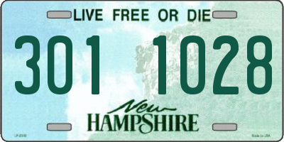 NH license plate 3011028