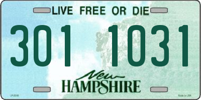 NH license plate 3011031