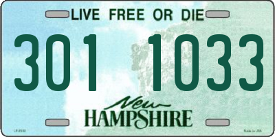 NH license plate 3011033