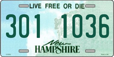 NH license plate 3011036
