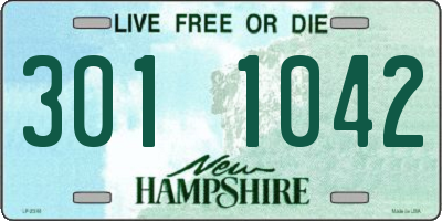 NH license plate 3011042