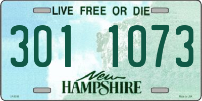 NH license plate 3011073
