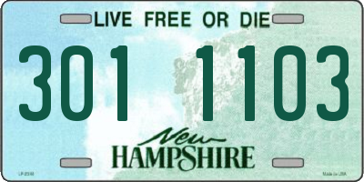 NH license plate 3011103