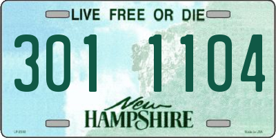 NH license plate 3011104