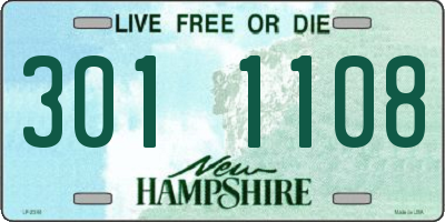 NH license plate 3011108