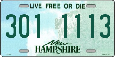 NH license plate 3011113