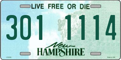 NH license plate 3011114