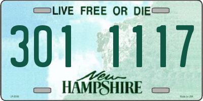 NH license plate 3011117