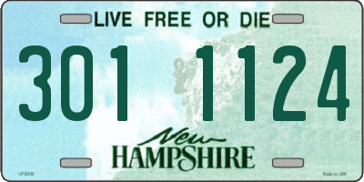 NH license plate 3011124