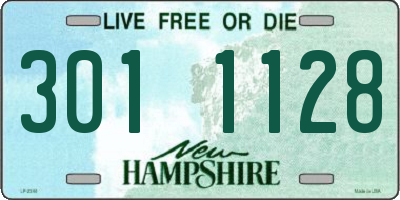 NH license plate 3011128