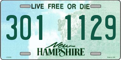 NH license plate 3011129