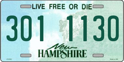 NH license plate 3011130