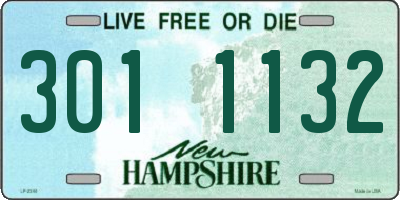 NH license plate 3011132