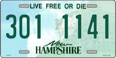NH license plate 3011141