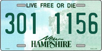 NH license plate 3011156