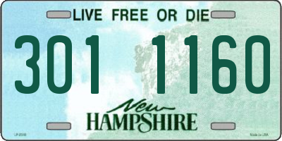 NH license plate 3011160