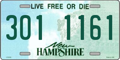 NH license plate 3011161