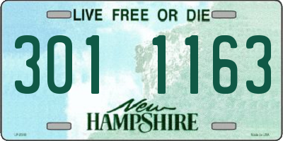 NH license plate 3011163