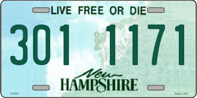 NH license plate 3011171