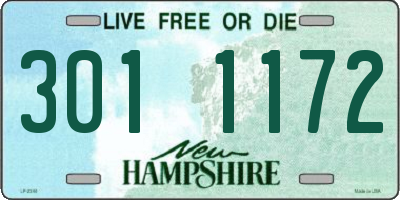 NH license plate 3011172
