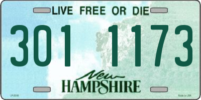 NH license plate 3011173