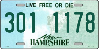 NH license plate 3011178