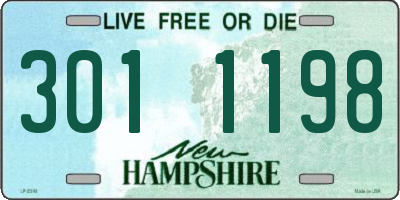 NH license plate 3011198