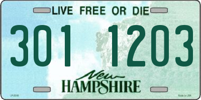 NH license plate 3011203